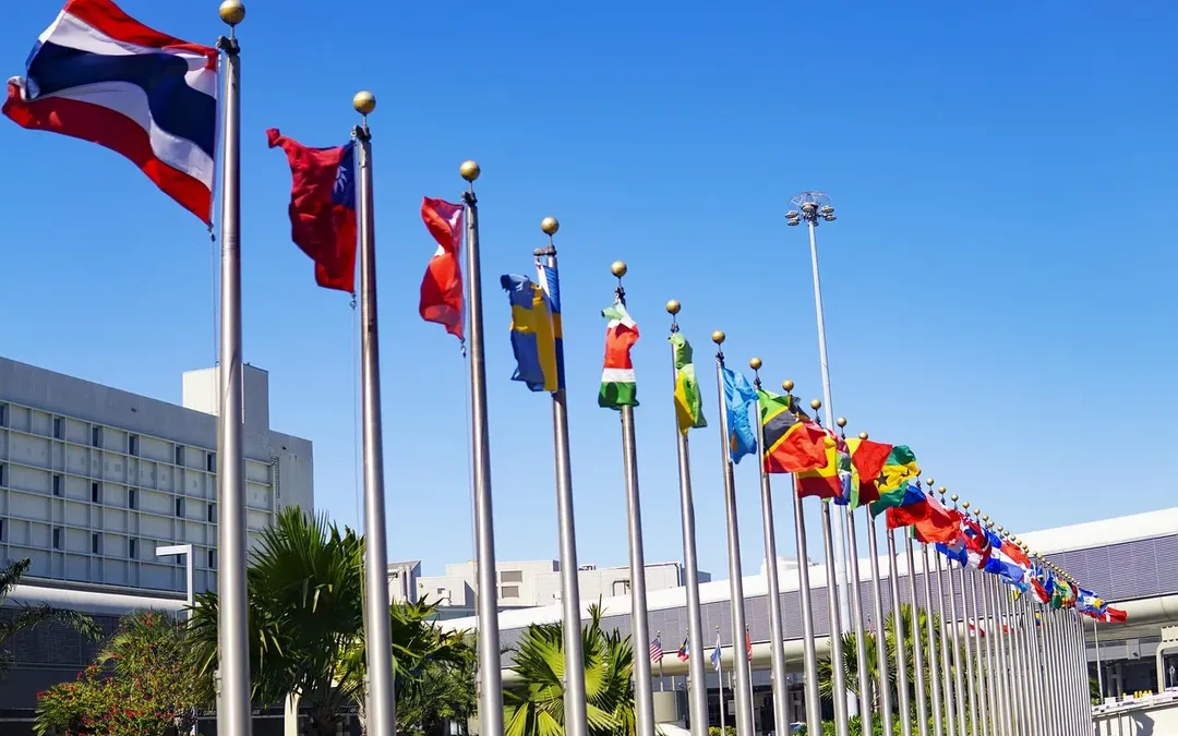 Partnerships, Outsourcing, and Investing