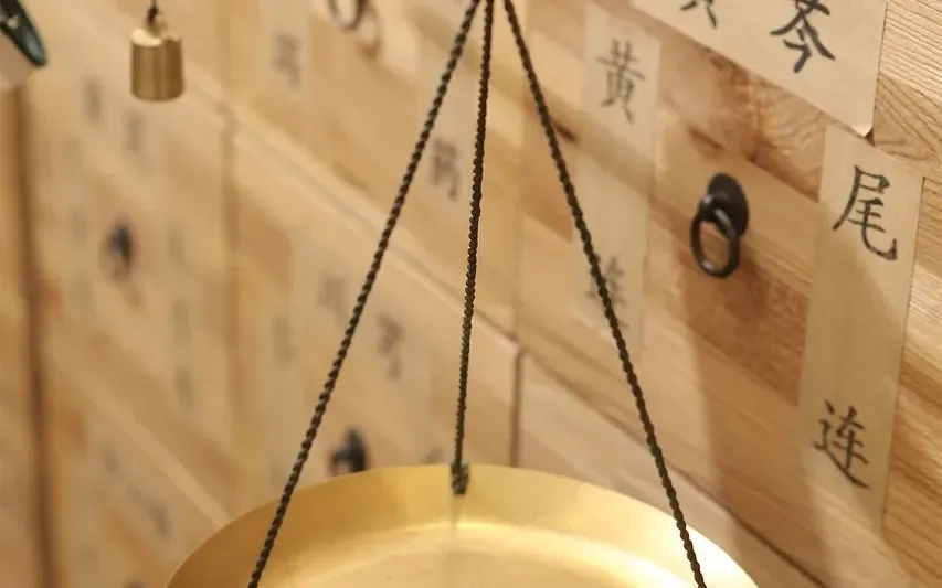 The Powers of Chinese Medicine, Treating the Root Cause, And Nurturing Your Business To Grow Organically