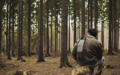 Lessons The Show *Alone* Can Teach Us In Business